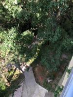 Vonkajšia záhrada v ubytovaní Ante Apartment