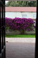 A garden outside Casa Bedda