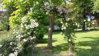 Vonkajšia záhrada v ubytovaní B&B Casa di Laura