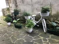 Vonkajšia záhrada v ubytovaní Apartamento La Vieja Panadería 1