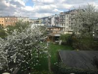 a view of a city with flowering trees and buildings at Pension Karina Schwerin in Schwerin