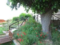 A garden outside Casa dei Sogni d'Oro