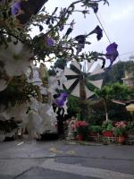 A garden outside Dionysus House Lasithi Plateau