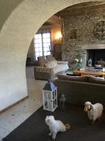 a living room with a couch and a dog in it at La Bergerie De Valerie in Arthès