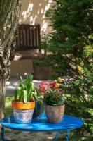 Vonkajšia záhrada v ubytovaní Casa Giardino