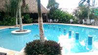 a swimming pool with a palm tree in a resort at Ecotel Quinta Regia in Valladolid