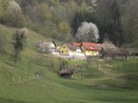 Príroda v okolí dovolenkového domu