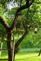 a ladder in a tree with a swing at Les Gîtes de l&#39;Orta in Saint-Jean-dʼEyraud