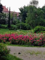 Vonkajšia záhrada v ubytovaní Amalia Apartments