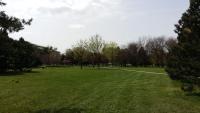Vonkajšia záhrada v ubytovaní Moonstreet apartments