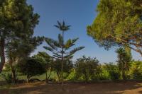 Zahrada ubytování Porto Giardino Apartments