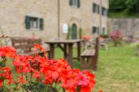 A garden outside Agriturismo L'Antico Frutto