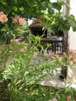 Vonkajšia záhrada v ubytovaní Apartment Petrinic V