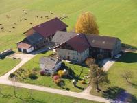 an aerial view of a barn with cows in a field at Baby- und Kinderhof Aicherbauer in Seeham