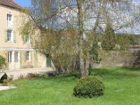 a tree in the yard of a house at Beautiful country house with enclosed garden in green surroundings in Burgundy in Bouix