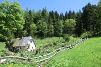 Vonkajšia záhrada v ubytovaní Hotel garni Landhaus Bürtlmair