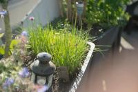 Um jardim em Sunset Destination Hostel