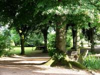 a park with a bench under a bunch of trees at Manoir des Turets in Yvré-lʼÉvêque