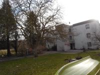 Zahrada ubytování Ferienhaus Uklei