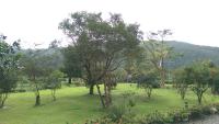 a park with trees and grass with a mountain in the background at Seasons Inn in Jiaoxi
