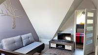 Televízia a/alebo spoločenská miestnosť v ubytovaní Apartament Podkowa z widokiem na Giewont
