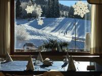 Albergo Slalom v zime