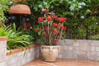 A garden outside B&B Villa Carmen