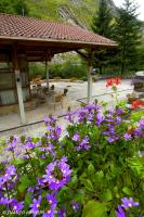 Zahrada ubytování La Casona de Mestas