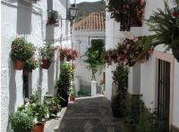 Hotel Posada del Bandoleroにある庭
