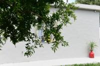 Vonkajšia záhrada v ubytovaní Plakias Riviera