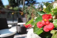 A garden outside Albergo Centopini
