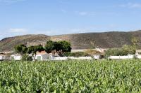 Príroda v okolí of the country house