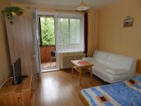 A television and/or entertainment centre at Apartmán Zdravie Horný Smokovec