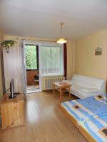 A television and/or entertainment centre at Apartmán Zdravie Horný Smokovec