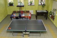 Stolný tenis v ubytovaní Dom Wczasowy KAMELA alebo v jeho okolí