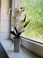 Půdorys ubytování KriDa Comfort Ferienwohnung