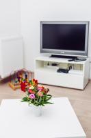 Televízia a/alebo spoločenská miestnosť v ubytovaní Apartament Blue Point 102 PREMIUM