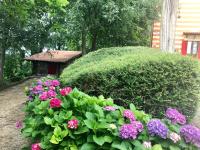 Ogród w obiekcie Agriturismo Antica Dimora Del Turco