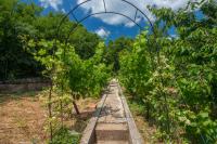 Vonkajšia záhrada v ubytovaní Organic Gardens Villa
