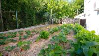Vonkajšia záhrada v ubytovaní Organic Gardens Villa