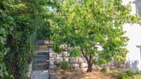 Vonkajšia záhrada v ubytovaní Organic Gardens Villa