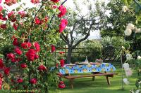 A garden outside La Luna nel Parco