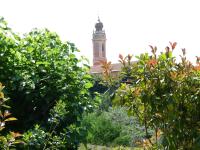 A garden outside Agriturismo La Vigna