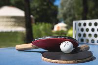 a baseball bat and ball on top of a table at L&#39;Escale des Châteaux de la Loire in Angé