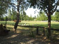 Hosté ubytování Yeguada Senillosa - Turismo Rural