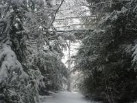 Els Apartaments del bosc v zimě