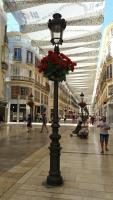 Hostia v ubytovaní Casa Marenga El Palo