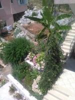Zahrada ubytování Apartmani J&P