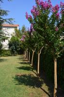 A garden outside B&B VILLA LUPIDI