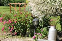 a garden with pink flowers and a street light at Gîte d&#39;Anne et Ulysse in Sept-Frères